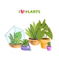 Vector stock illustration with home potted plants.